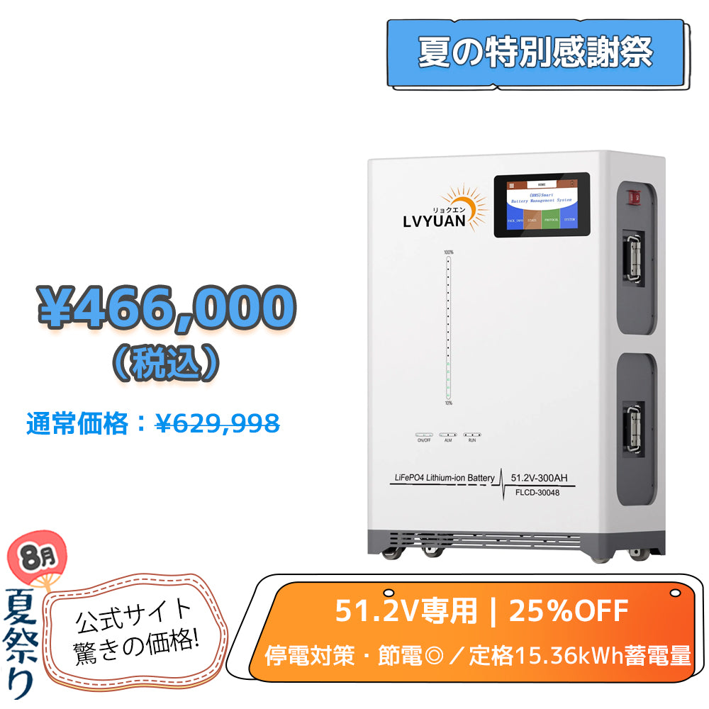 LVYUAN 51.2V/300Ah 15.36kWhリン酸鉄リチウムイオンバッテリー