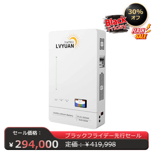 LVYUAN 51.2V/200Ah 10.24kWhリン酸鉄リチウムイオンバッテリー