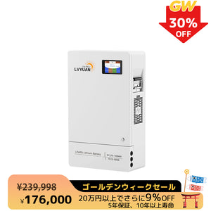 LVYUAN 51.2V/100Ah 5.12kWhリン酸鉄リチウムイオンバッテリー