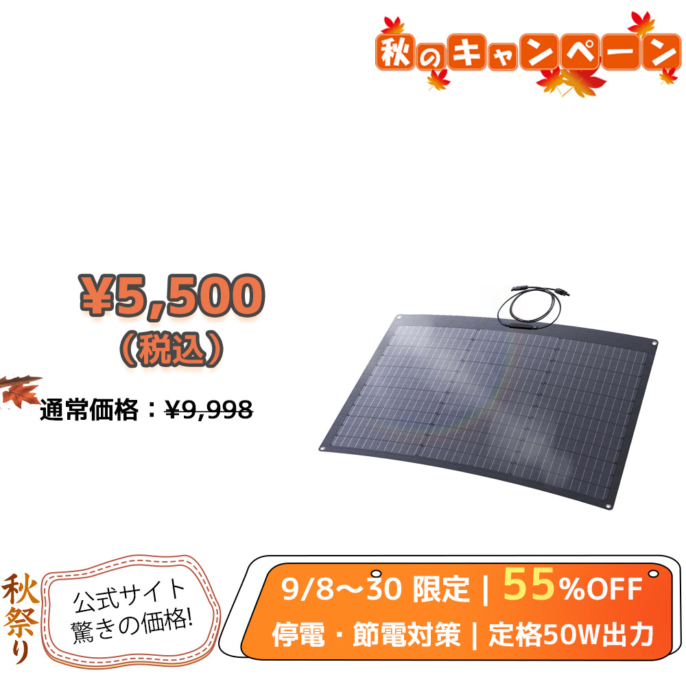 LVYUAN（リョクエン）50W ETFEフレキシブルソーラーパネル