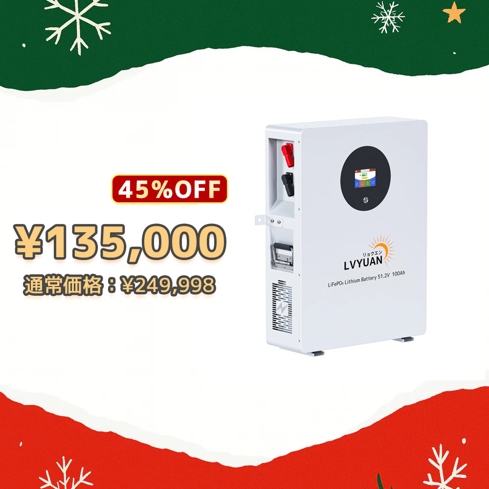 LVYUAN 51.2V/100Ah 5.12kWhリン酸鉄リチウムイオンバッテリー