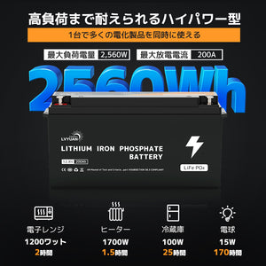 LVYUAN 12.8V/200Ah 2.56kWhリン酸鉄リチウムイオンバッテリー