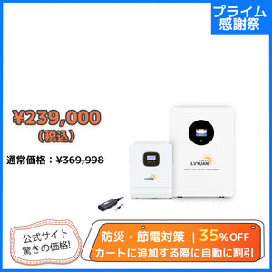 LVYUAN 5000Wハイブリッド蓄電システム