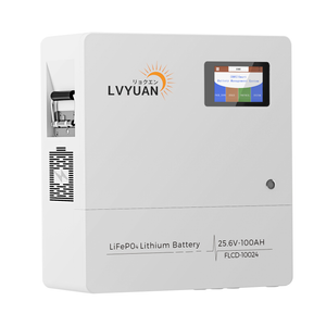 LVYUAN 25.6V/100Ah 2.56kWhリン酸鉄リチウムイオンバッテリー
