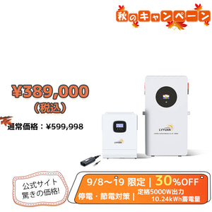 LVYUAN 51.2V（48V）ハイブリッド蓄電システム