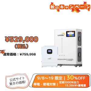 LVYUAN 51.2V（48V）ハイブリッド蓄電システム