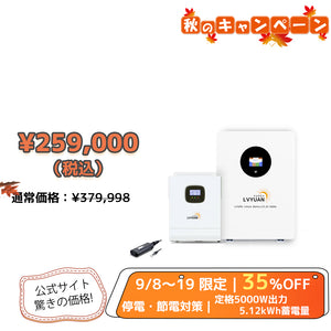 LVYUAN 51.2V（48V）ハイブリッド蓄電システム