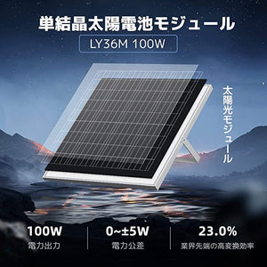 LVYUAN 100W ソーラーパネル 2枚（200W）+20A PWMチャージコントローラー セット【ICE基準・TUV規格品】