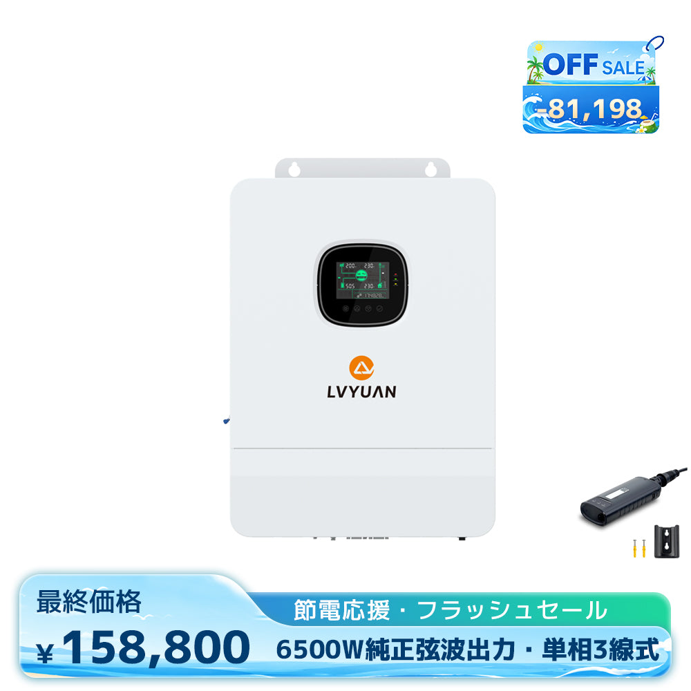 LVYUAN VTJP-3000 変圧器 LVYUAN 3000W変圧器 降圧・昇圧兼用型トランス AC100V/110V⇄220V/240V