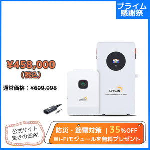 LVYUAN 単相3線式ハイブリッド蓄電システム