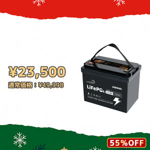 LVYUAN 12.8V/100Ah 1.28kWhリン酸鉄リチウムイオンバッテリー (mini)【納期一ヶ月】