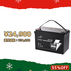 LVYUAN 12.8V/100Ah 1.28kWhリン酸鉄リチウムイオンバッテリー