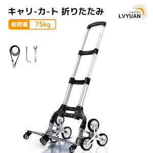 LVYUAN(リョクエン)折りたたみ式 キャリーカート 耐荷重75kg（シルバー）