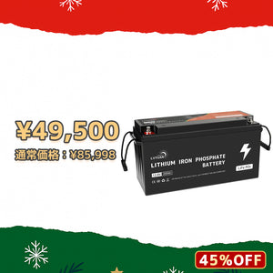 LVYUAN 12.8V/200Ah 2.56kWhリン酸鉄リチウムイオンバッテリー