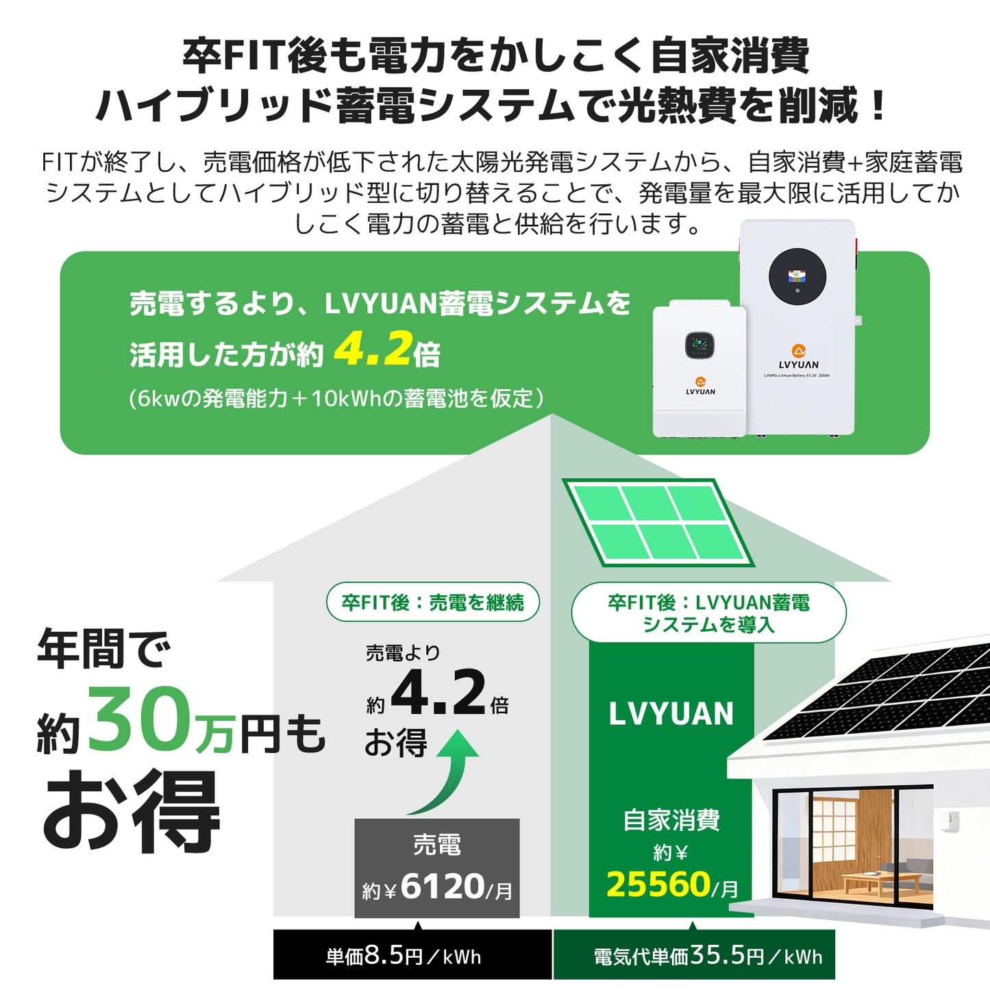 LVYUAN 6500W単相3線式ハイブリッド発電・蓄電システム