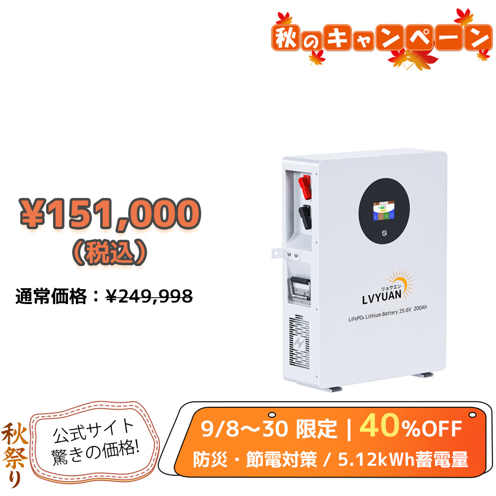 LVYUAN 25.6V/200Ah 5.12kWhリン酸鉄リチウムイオンバッテリー