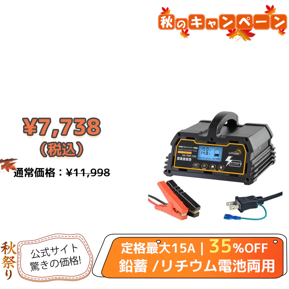 LVYUAN 15Aバッテリーパルス充電器 12V/24V対応 BC-150PRO