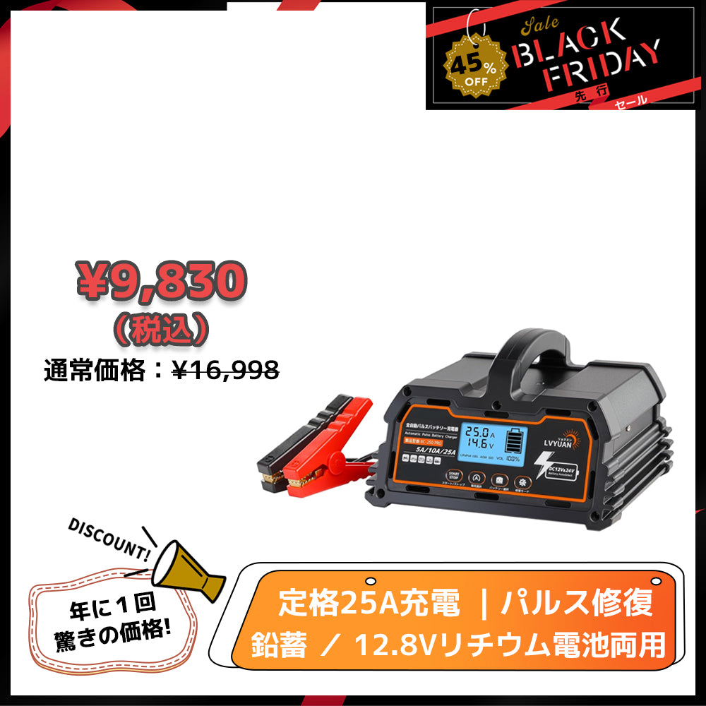 LVYUAN 定格25A パルスバッテリー充電器 12V・24V鉛蓄 / 12.8Vリチウム電池両用
