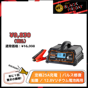 LVYUAN 定格25A パルスバッテリー充電器 12V・24V鉛蓄 / 12.8Vリチウム電池両用