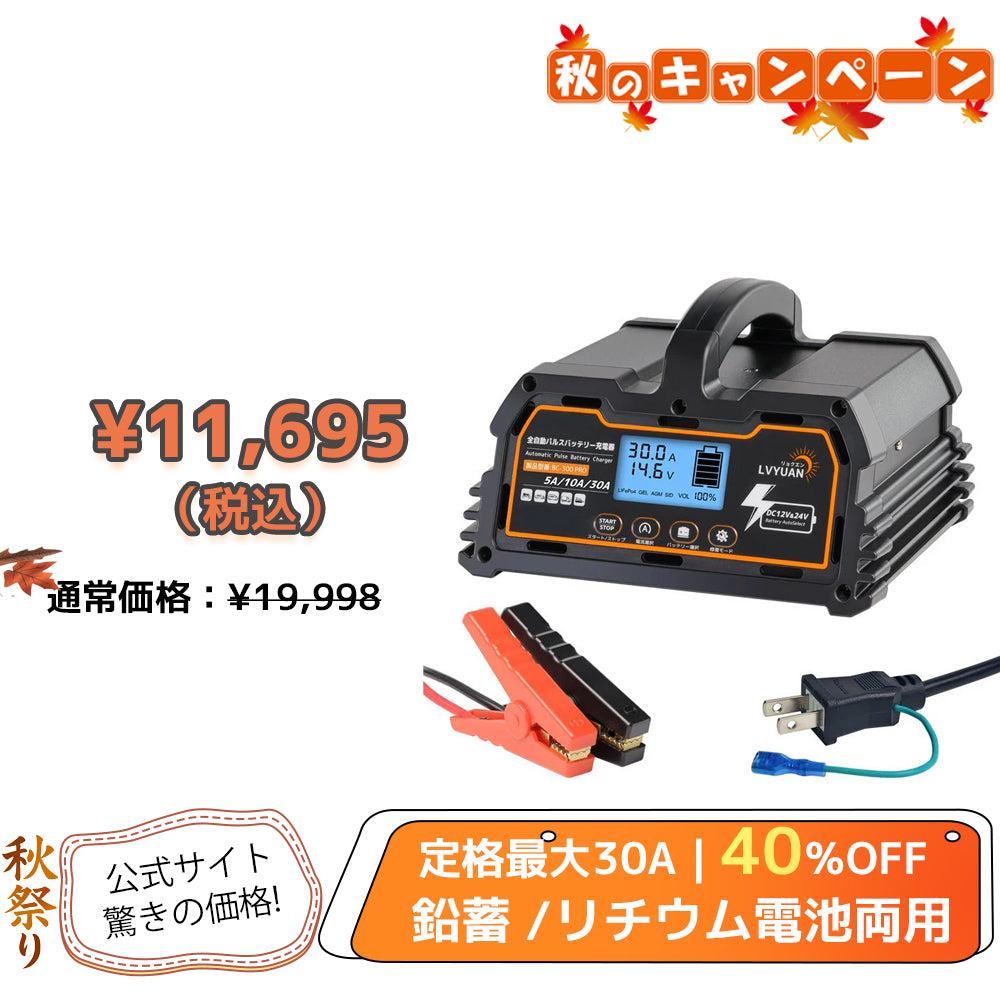 LVYUAN パルスバッテリー充電器 30A  12V・24V鉛蓄 / 12.8Vリチウム電池両用