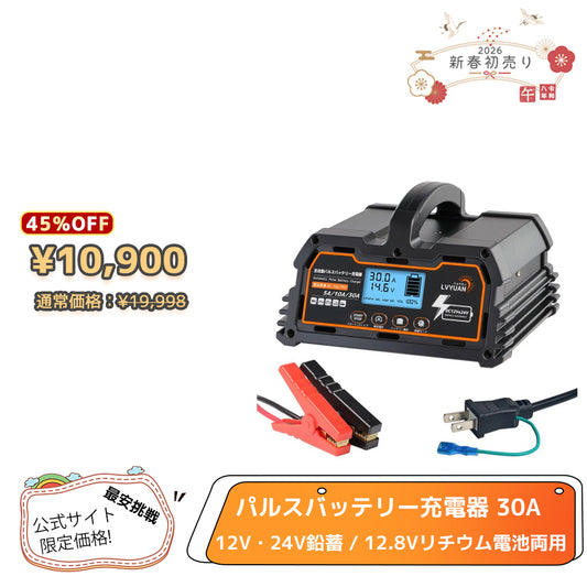 LVYUAN 定格30A パルスバッテリー充電器 12V・24V鉛蓄 / 12.8Vリチウム電池両用