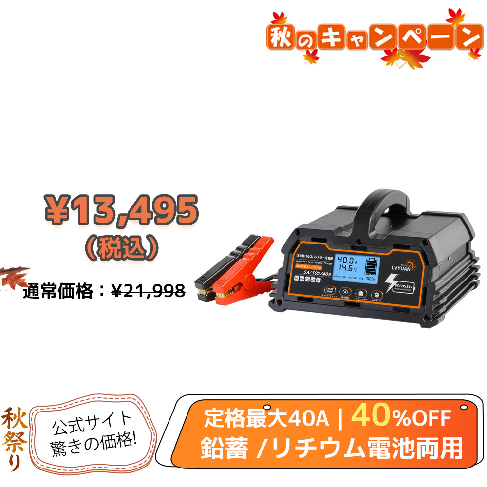 LVYUAN パルスバッテリー充電器 40A  12V・24V鉛蓄 / 12.8Vリチウム電池両用