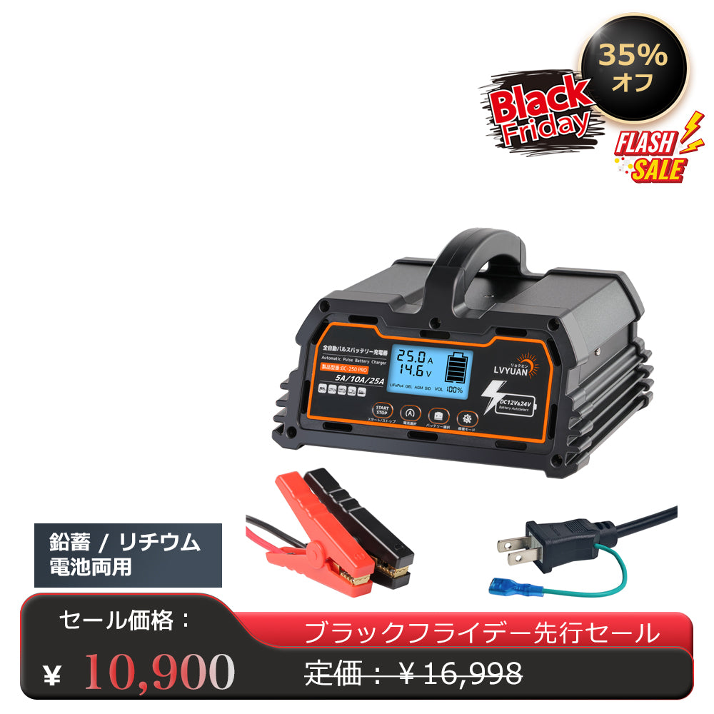 LVYUAN パルスバッテリー充電器 20A  12V・24V鉛蓄 / 12.8Vリチウム電池両用