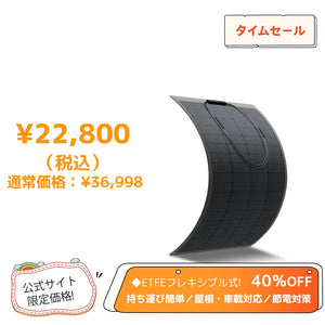 LVYUAN（リョクエン）200W ETFEフレキシブルソーラーパネル