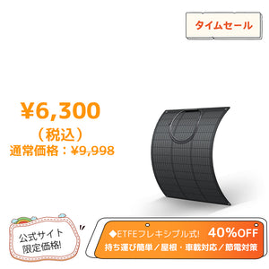 LVYUAN（リョクエン）50W ETFEフレキシブルソーラーパネル