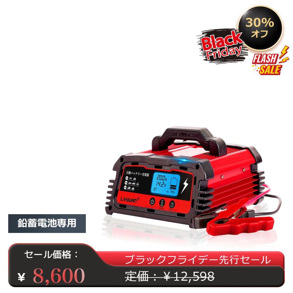 LVYUAN パルスバッテリー充電器 20A  12V・24V鉛バッテリー専用