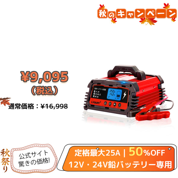 LVYUAN 25Aバッテリーパルス充電器 12V/24V対応 - LVYUAN