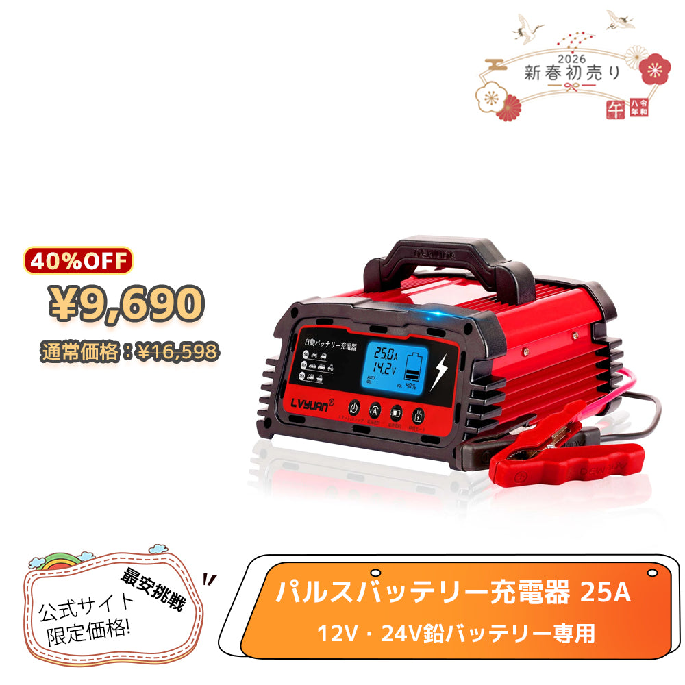 LVYUAN 25Aバッテリーパルス充電器 12V/24V対応 - LVYUAN（リョクエン