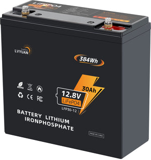 LVYUAN 12.8V/30Ah 384Whリン酸鉄リチウムイオンバッテリー