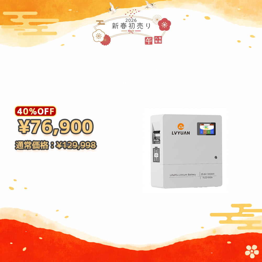 LVYUAN 25.6V/100Ah 2.56kWhリン酸鉄リチウムイオンバッテリー