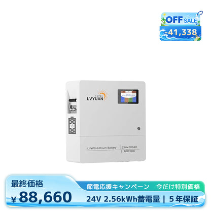 LVYUAN 25.6V/100Ah 2.56kWhリン酸鉄リチウムイオンバッテリー