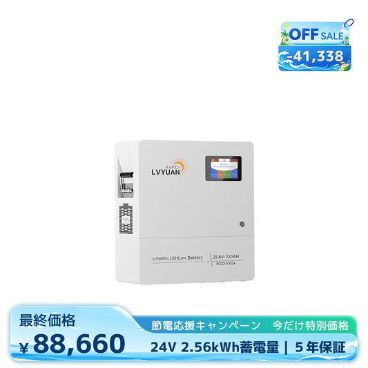 LVYUAN 25.6V/100Ah 2.56kWhリン酸鉄リチウムイオンバッテリー