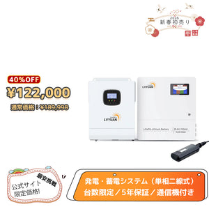 LVYUAN 3000Wハイブリッド蓄電システム