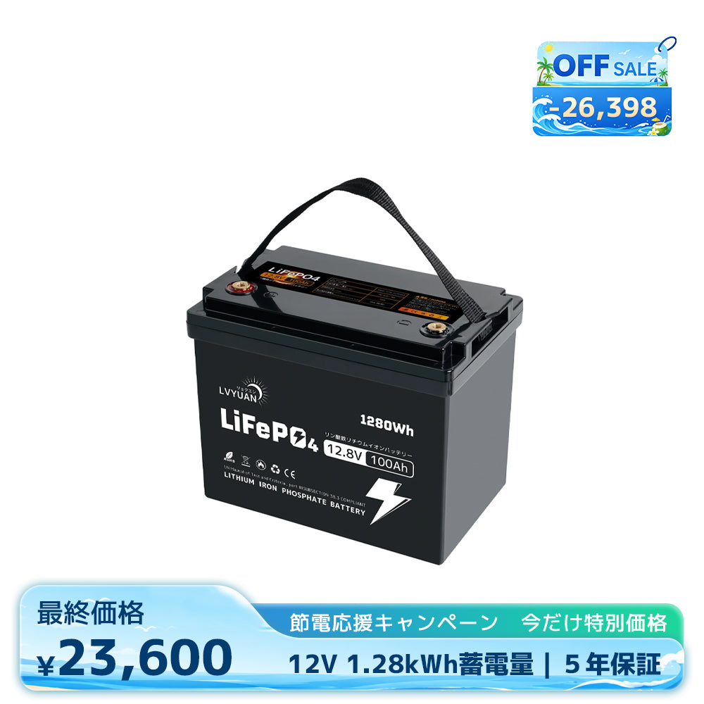 LVYUAN 12.8V/100Ah 1.28kWhリン酸鉄リチウムイオンバッテリー (mini)