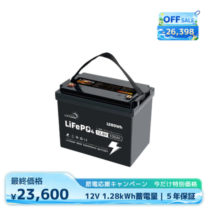 LVYUAN 12.8V/100Ah 1.28kWhリン酸鉄リチウムイオンバッテリー (mini)