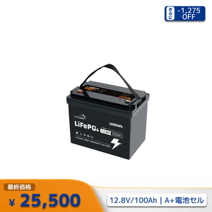 LVYUAN 12.8V/100Ah 1.28kWhリン酸鉄リチウムイオンバッテリー (mini)