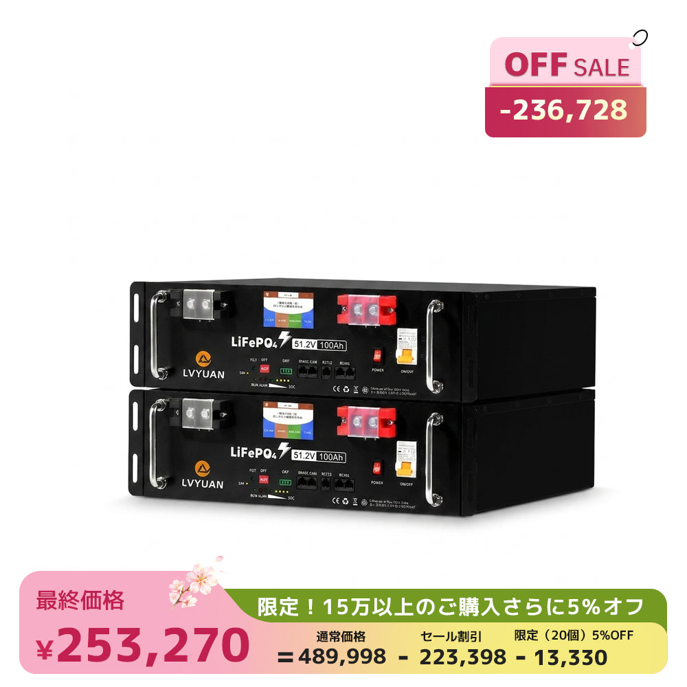 LVYUAN 51.2V/100Ah 5.12kWhリン酸鉄リチウムイオンバッテリー ラック型