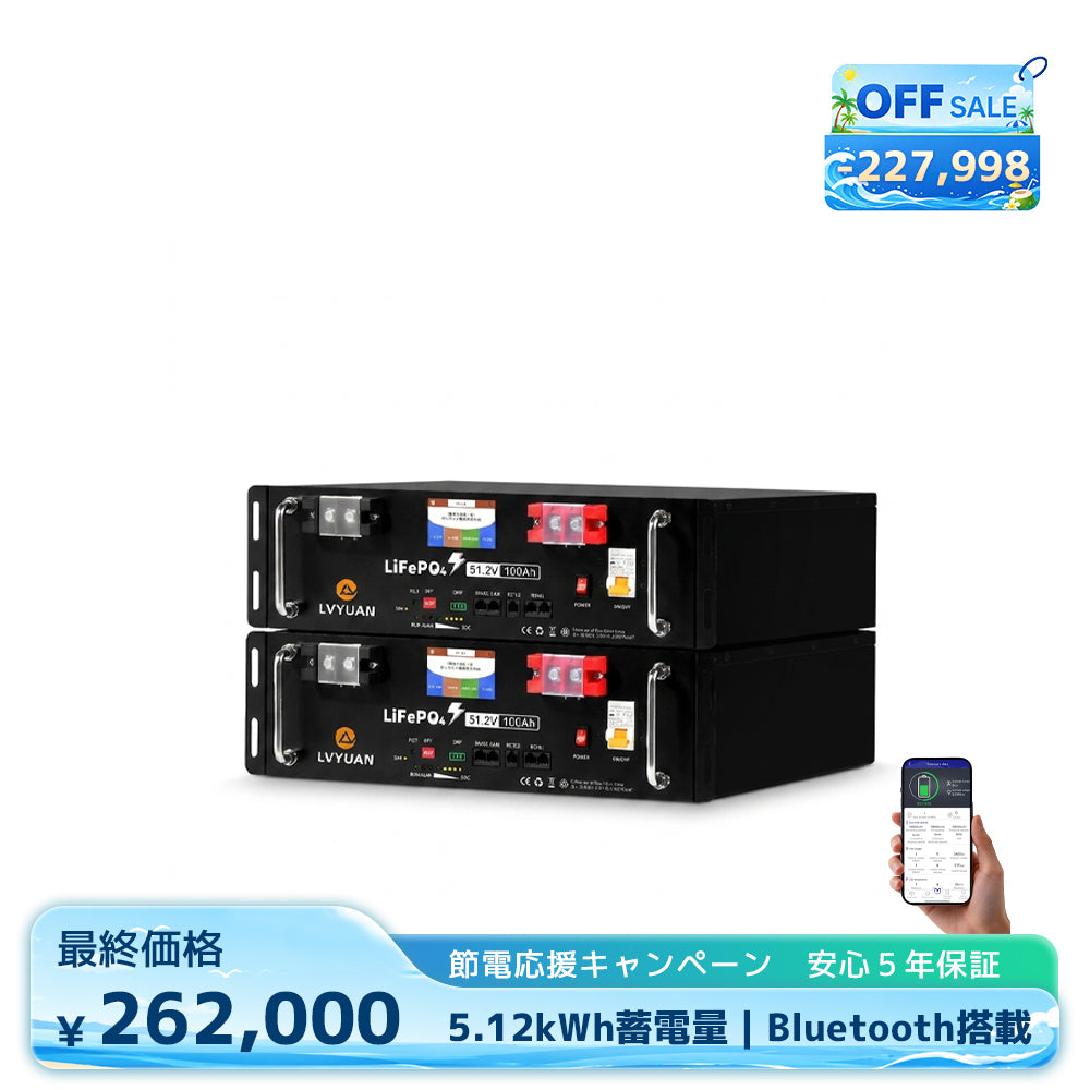 LVYUAN 51.2V/100Ah 5.12kWhリン酸鉄リチウムイオンバッテリー ラック型
