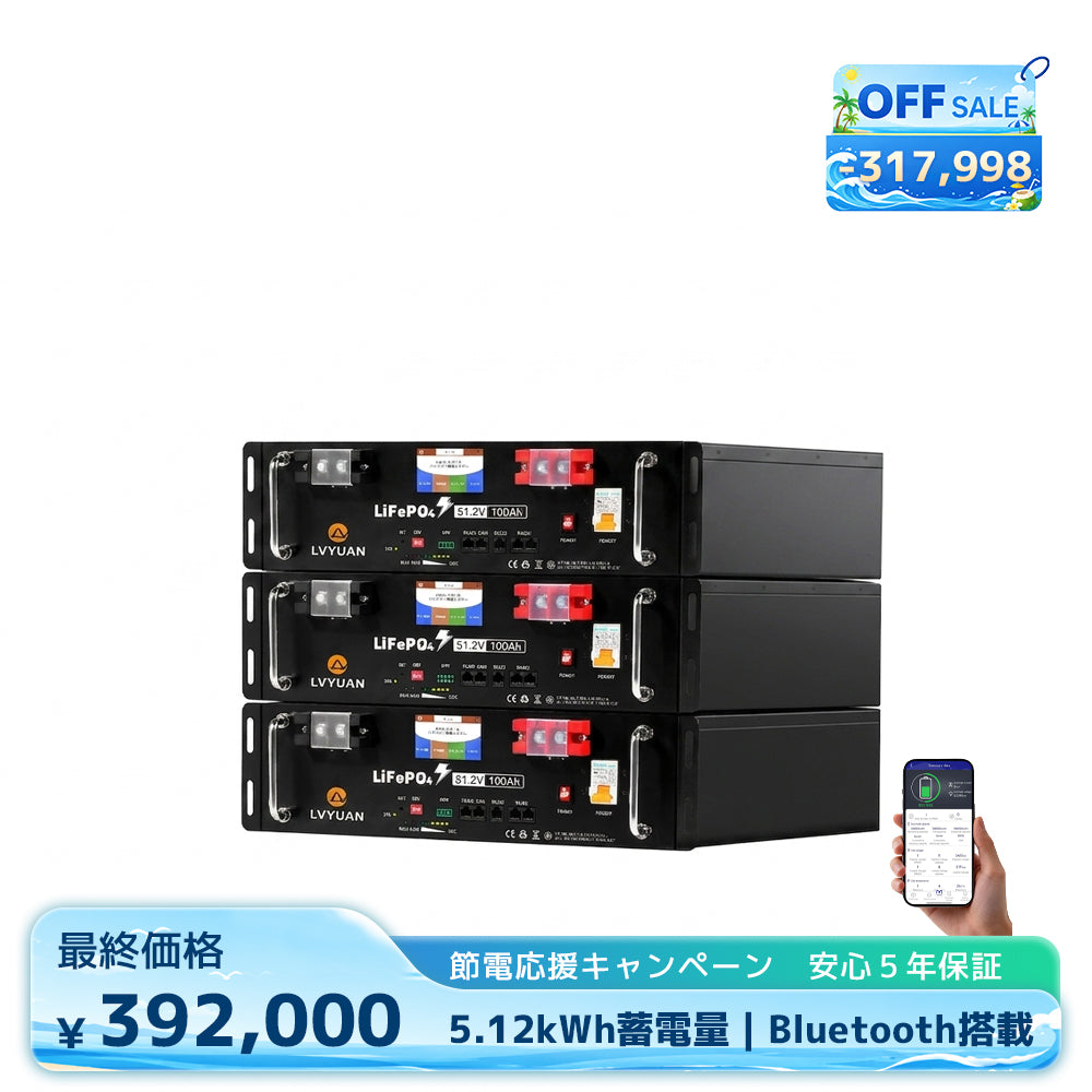 LVYUAN 51.2V/100Ah 5.12kWhリン酸鉄リチウムイオンバッテリー ラック型