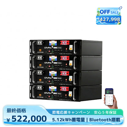 LVYUAN 51.2V/100Ah 5.12kWhリン酸鉄リチウムイオンバッテリー ラック型