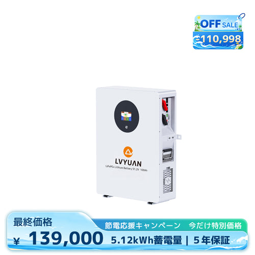 LVYUAN 51.2V/100Ah 5.12kWhリン酸鉄リチウムイオンバッテリー