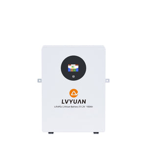 LVYUAN 51.2V/100Ah 5.12kWhリン酸鉄リチウムイオンバッテリー