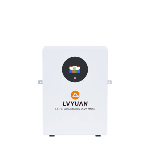 LVYUAN 51.2V/100Ah 5.12kWhリン酸鉄リチウムイオンバッテリー