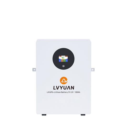 LVYUAN 51.2V/100Ah 5.12kWhリン酸鉄リチウムイオンバッテリー