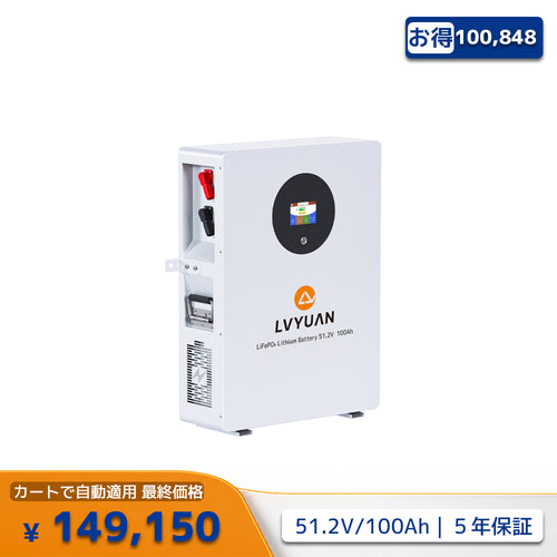 LVYUAN 51.2V/100Ah 5.12kWhリン酸鉄リチウムイオンバッテリー