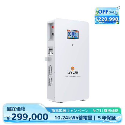 LVYUAN 51.2V/200Ah 10.24kWhリン酸鉄リチウムイオンバッテリー